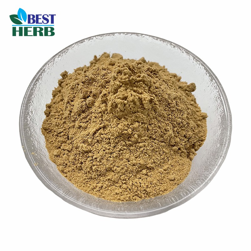 Gymnema Leaf Extract
