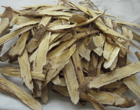 Astragalus Root Extract